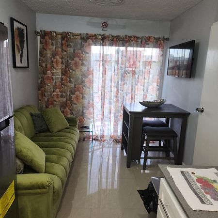 Comfy And Cozy Apartment คิงส์ตัน ภายนอก รูปภาพ